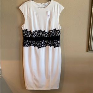 New York & Company Stretch NWT B/W Lace Dress XL
